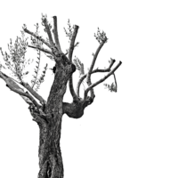 Tengo miedo a estar sola miedo al compromiso